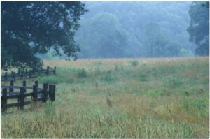 Resaca Battlefield meadow