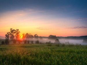 Sunrise and fog over the Nash Farm Battlefield